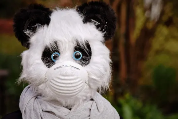 SilverPlay Casino Assistance